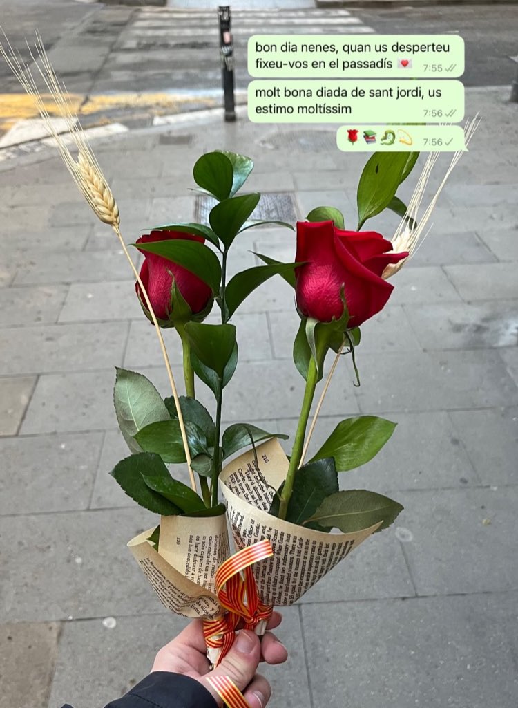 genisvives's tweet photo. l’amor viu molt més enllà de les parelles. viu en l’abraçada d’una mare, en la trucada d’una amiga, en la complicitat d’una germana, en les companyes de pis que et porten al teatre, en l’amic que t’acompanya al metge.

i l’amor, avui, ha picat a la porta. bon sant jordi! 💌🌹📚🐉 https://t.co/POnPb2bUgm