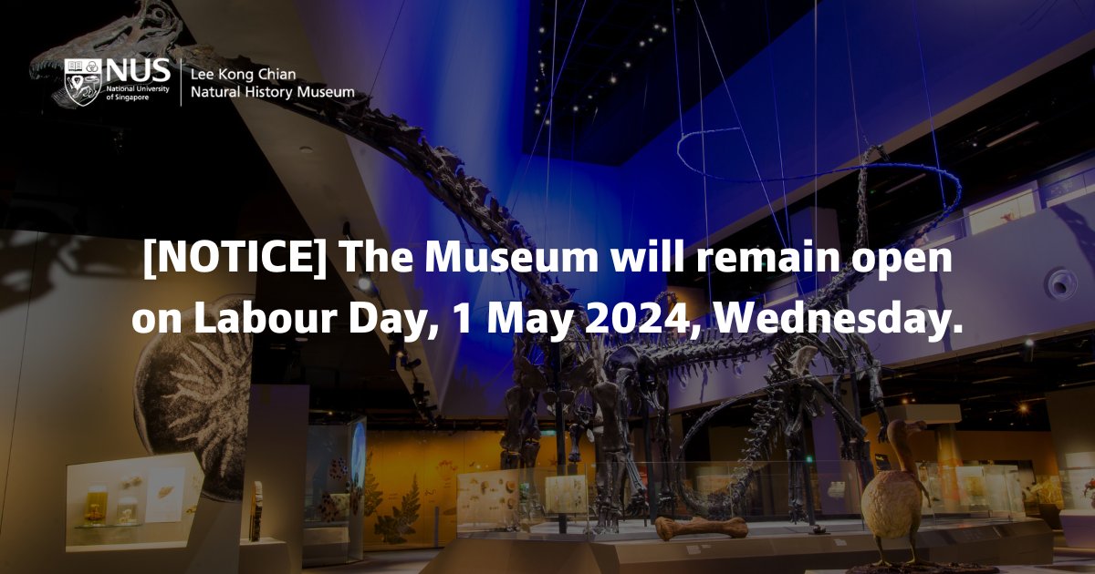 Lee Kong Chian Natural History Museum (@lkcnhm) on Twitter photo 2024-04-26 10:00:00