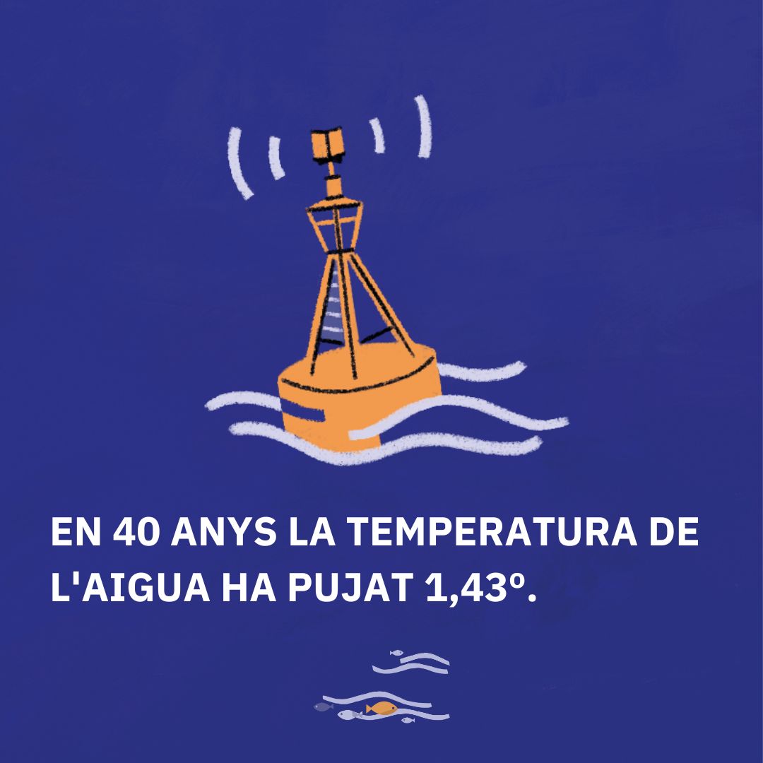 Algunes situacions posen en alerta a científics i pescadors, diferents estudis han posat números a aquestes noves realitats que pateix el Mar Balear: EN 40 ANYS LA TEMPERATURA DE L'AIGUA HA PUJAT 1,43º @HisendaGOIB #BIOTRANS #InformeMarBalear @MarillesFund