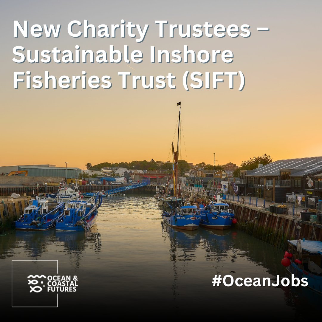 🔔New #volunteer opportunity: Charity Trustees – Sustainable Inshore Fisheries Trust @siftscotland

▪️Location: Scotland, flexible
▪️Closing: appointments made in mid-2024
▪️Full details👉 cmscoms.com/?p=38806

📩Sign up for #OceanJobs alerts here 👉 bit.ly/3MiyV7i