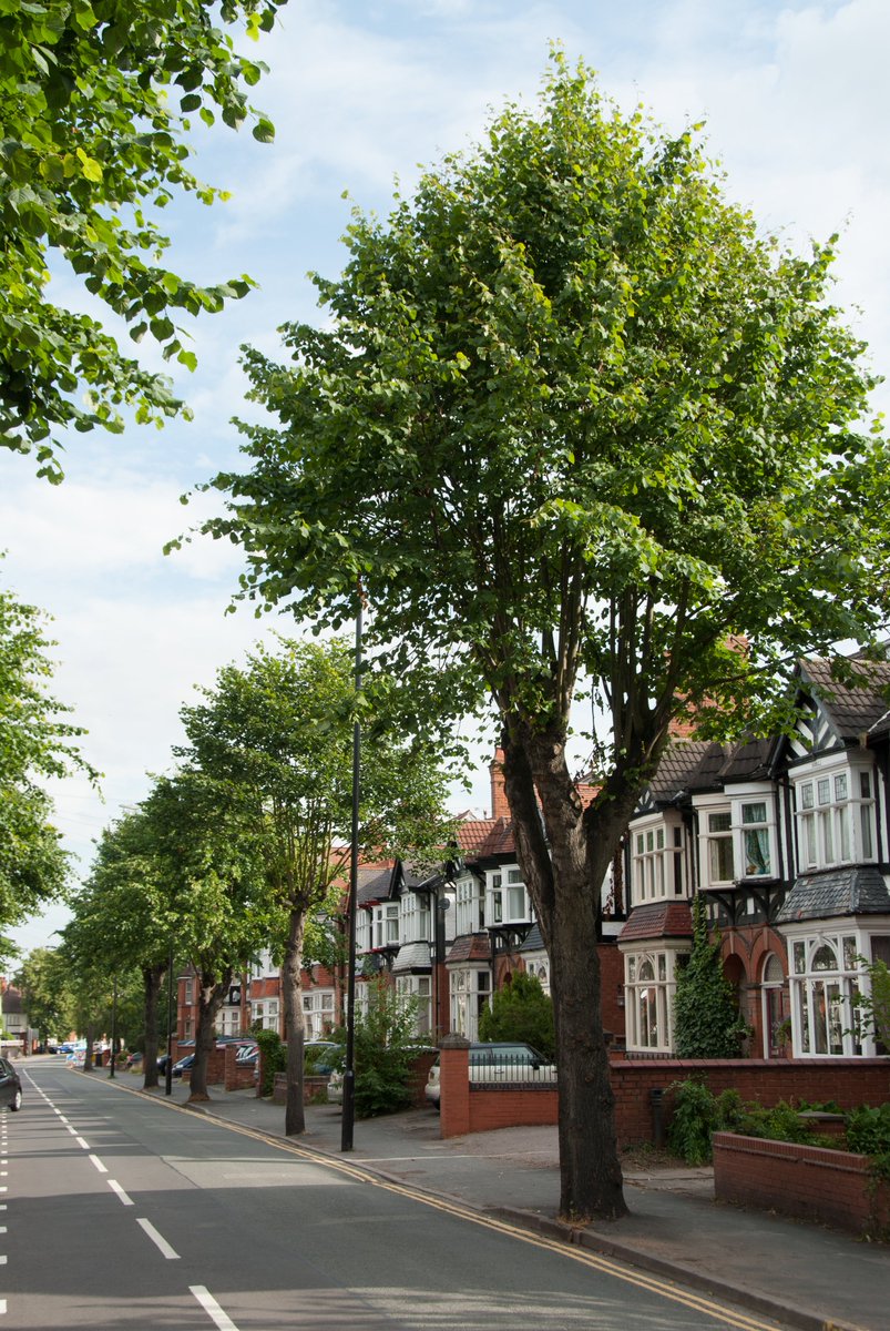 'It’s brilliant to see this research confirming that trees are literal life-savers, protecting city-dwellers against the impacts of heatwaves in urban areas. This should spur us all on to expand our urban forests as a key action to adapt to a warmer future climate. We hope that