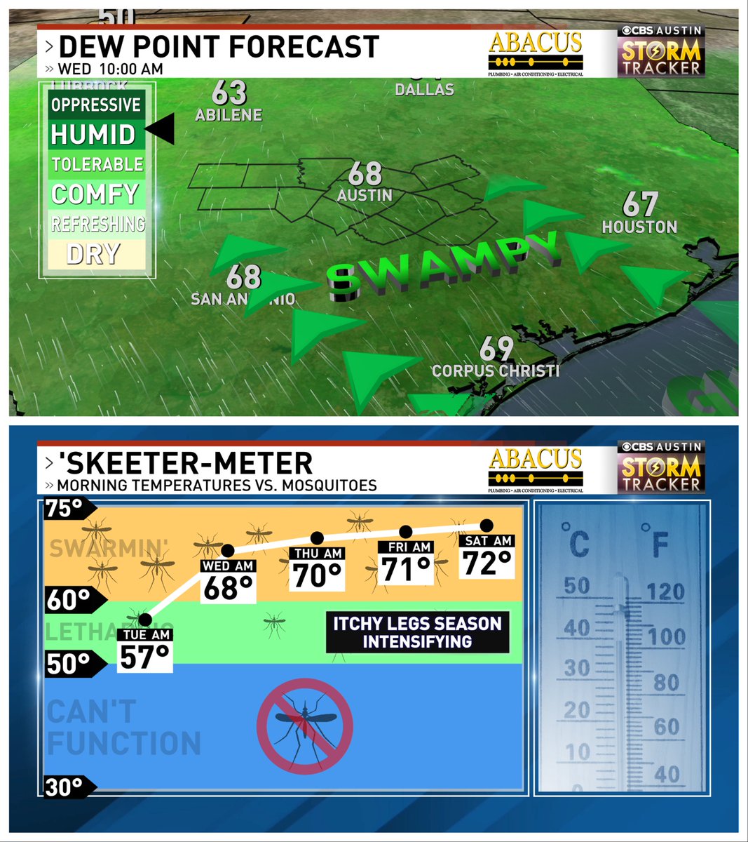 Unfortunate changes are afoot... Still comfy this morning, but it's the last morning where it won't be palpably humid & gross. From Wednesday onwards, very high humidity will almost certainly promote a mosquito population explosion. Plan accordingly #atxwx #txwx