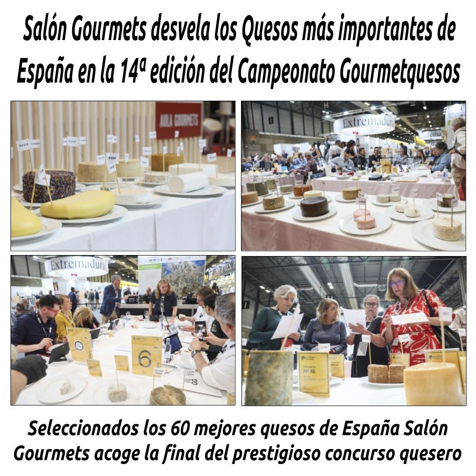 SALÓN GOURMETS DESVELA LOS QUESOS MÁS IMPORTANTES DE ESPAÑA EN LA 14ª EDICIÓN DEL CAMPEONATO GOURMETQUESOS

hosteleriaenvalencia.com/noticias.asp?i…

@SalonGourmets #SalonGourmets2024 #GourmetQuesos2024 #QuesosDeEspaña #MejorQuesoDeEspaña #QueseriaArtesanal #HosteleriaEnValencia