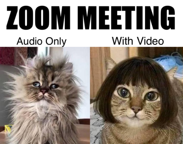 Skaykapvtltd's tweet photo. The transformation during zoom meeting is real 😅

#corporate #employee #meme
#technology #managerproblems #HR #BBB24 
#cyber #security #tech #technology #cyber #security #tech #trending #viral #trendingpost #stockmarkets  #memeoftheday #sleeping https://t.co/ud2s0ixB9O