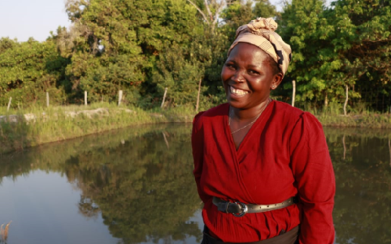 📣 Scaling training programs developed by @WorldFishCenter and supported through @CGIARAfrica Zambia partnerships are reaching thousands of fish farmers with practices that are boosting productivity and empowering women. Learn more 👉 tinyurl.com/WFPub2404h #AquaticFoods