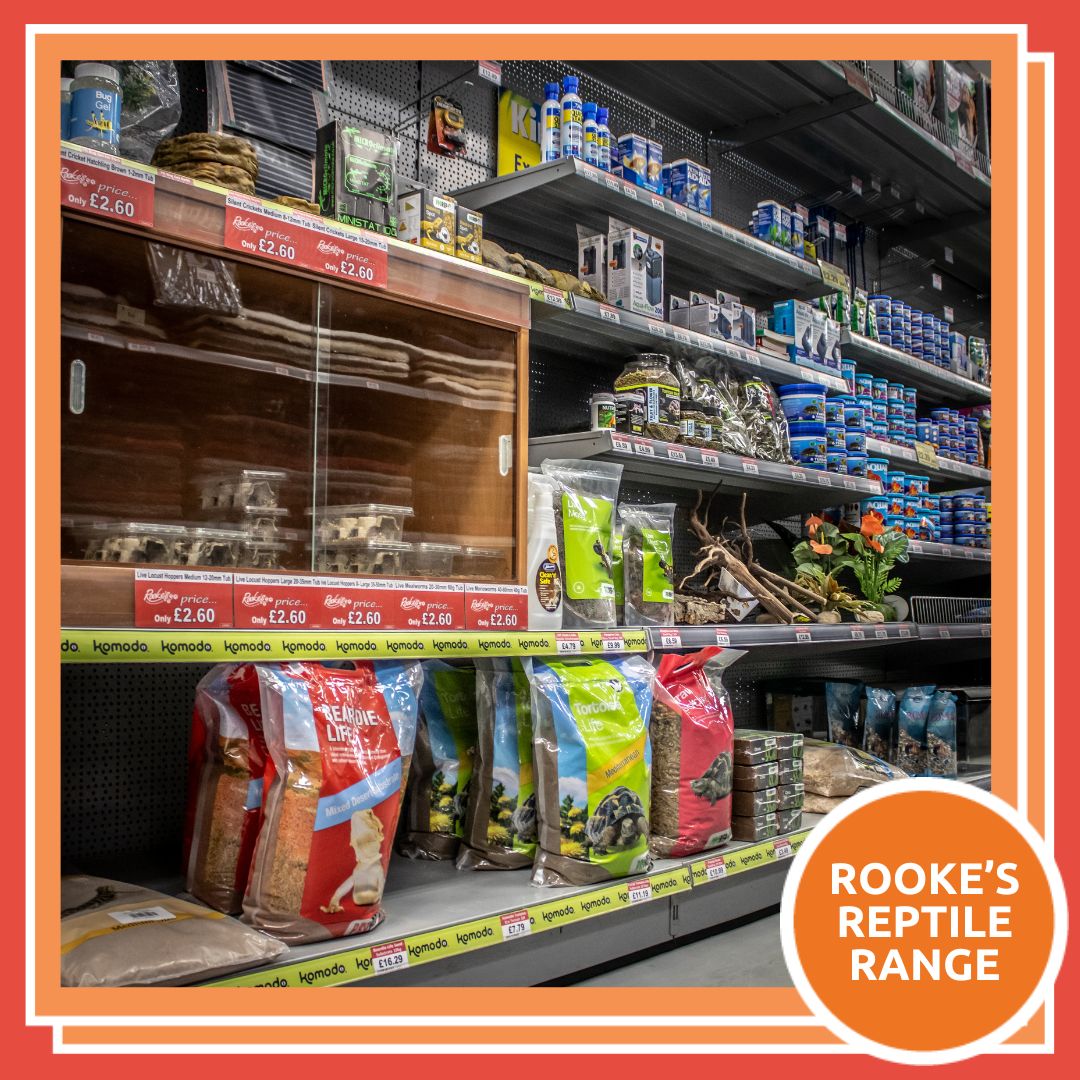 🦎 From slithery snakes to majestic geckos, we've got your scaly friends covered.

🐍 Pop in store and browse the Rooke's reptile range today!

📍 23 High Street, Spalding PE11 1TX

#reptilelove #exoticpets #petstoreadventures #amphibianpets #reptilepets #reptilelove