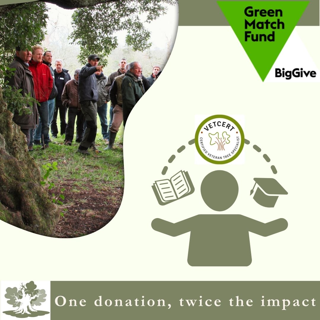 Big Give’s Green Match Fund Another important aspect of our Local Group visits is that they provide opportunities to gain experience to support those working towards VETcert certification. Please help us by making a donation today: tinyurl.com/544tjxbv @biggive