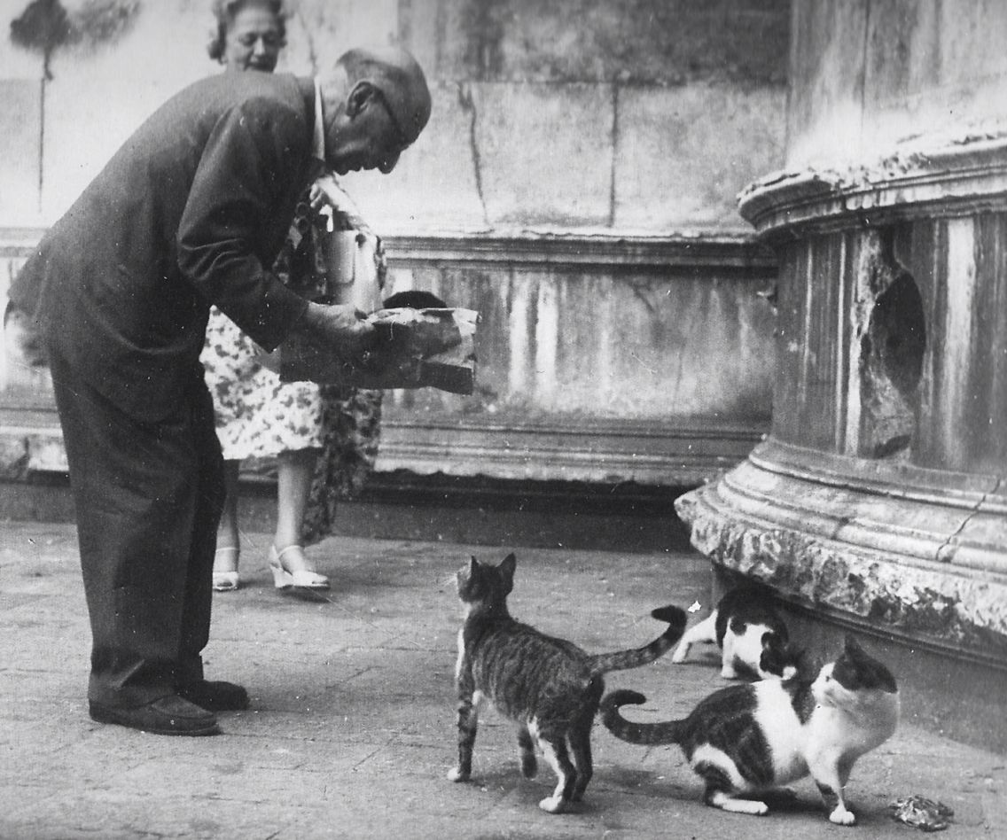 #fotodelgiorno: Igor Stravinsky nel 1956 mentre porta da mangiare ai gatti in Campo S.Fantin. Foto : Lucia Fanton