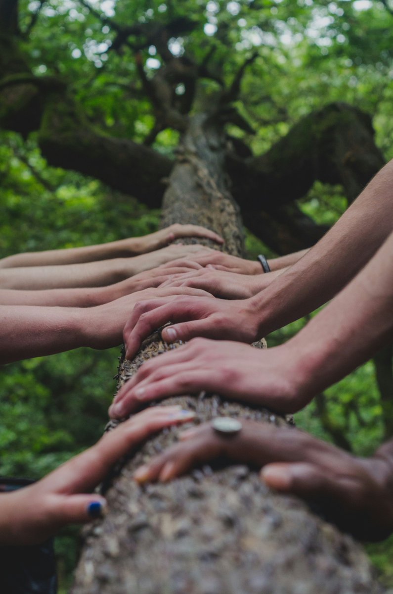 If you're taking part in #GreatBigGreenWeek, Zero Hour are running a fantastic webinar on  collaborative action for Climate and Nature. The webinar is free to all, and runs from 7-8pm on Wednesday 1st May. Sign up at buff.ly/3Jt9wHX. #CreatingtheGreenestCounty #Webinars