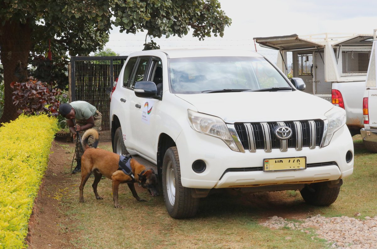 The ambassador was highly impressed by the demonstration of dogs and handlers who are deployed at airports, checkpoints and in intelligence-led operations. By countering transnational organised #WildlifeCrime, the unit helps to strengthen the rule of law in #Malawi and beyond 🐕