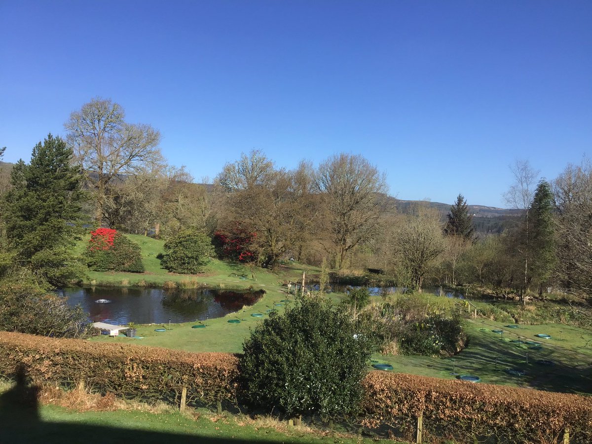 Kintailbop's tweet photo. It’s going to be a cracker of a day wall to wall blue sky.  #argyll #lochawe #lochawefalconry #falconrylochawe #spring https://t.co/QfJ12ECSs6