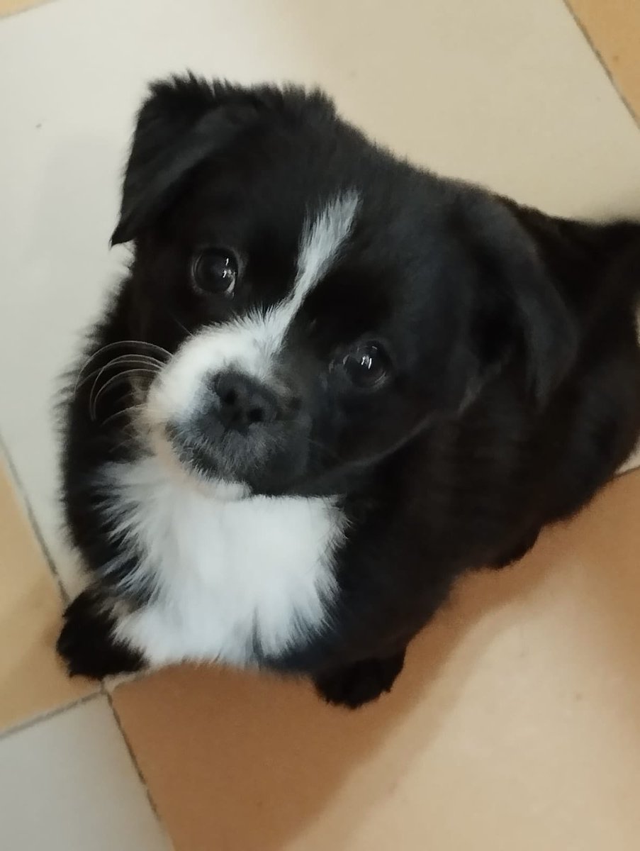 <a href="/sevenomar7/">OMAR</a>