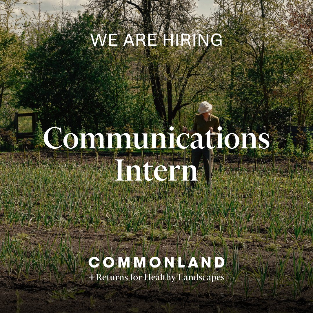 We're hiring! If you're eager and motivated to engage in community-led nature restoration and contribute to building the restoration movement, we can't wait to meet you! 🌍 Apply here: ow.ly/pkbi50RlU14 #Vacancy #JobAlert #LandscapeRestoration #InternshipOpportunity