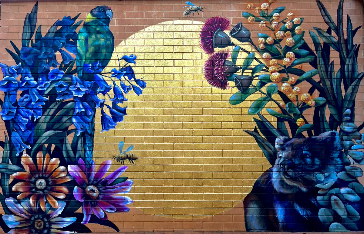 👀 Feast your eyes on this stunning #mural by Em Anders & Jacques Wingrove for @CurtinUni’s #Kalgoorlie campus – brightening up the WA School of Mines’ library courtyard featuring native Aussie flora & fauna. Isn’t it incredible? 🎨🌟