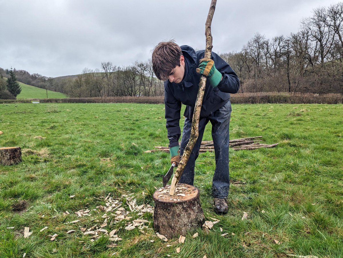 Our new Trainees: Rhodri and Thea have been building dead hedges and surveying butterflies at #PentwynFarm this month! If you’re 16-18 and looking to develop skills and knowledge in the environmental sector, please contact catrin@rwtwales.org to become a work placement student.