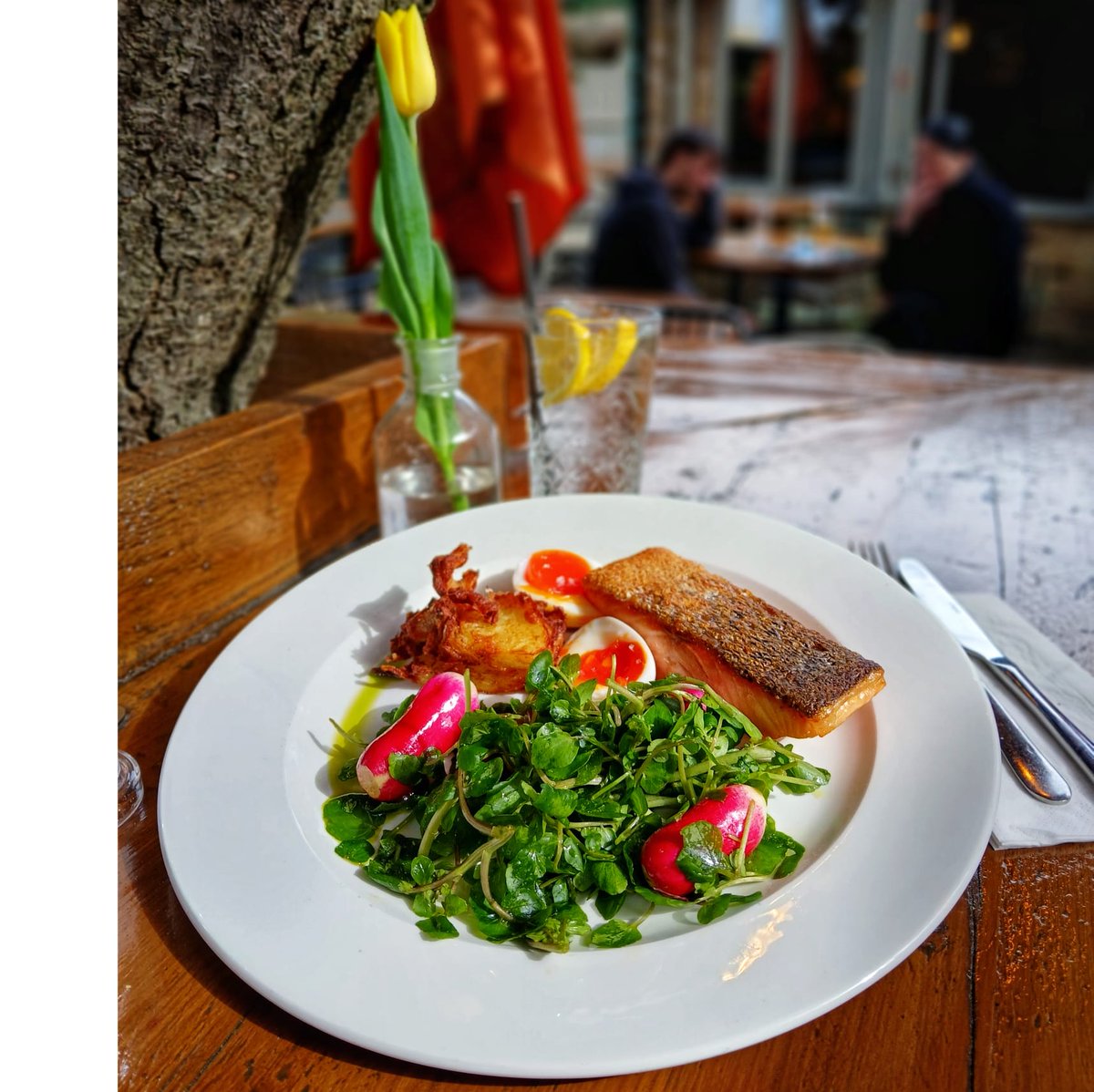 The Maynard Arms tweet media