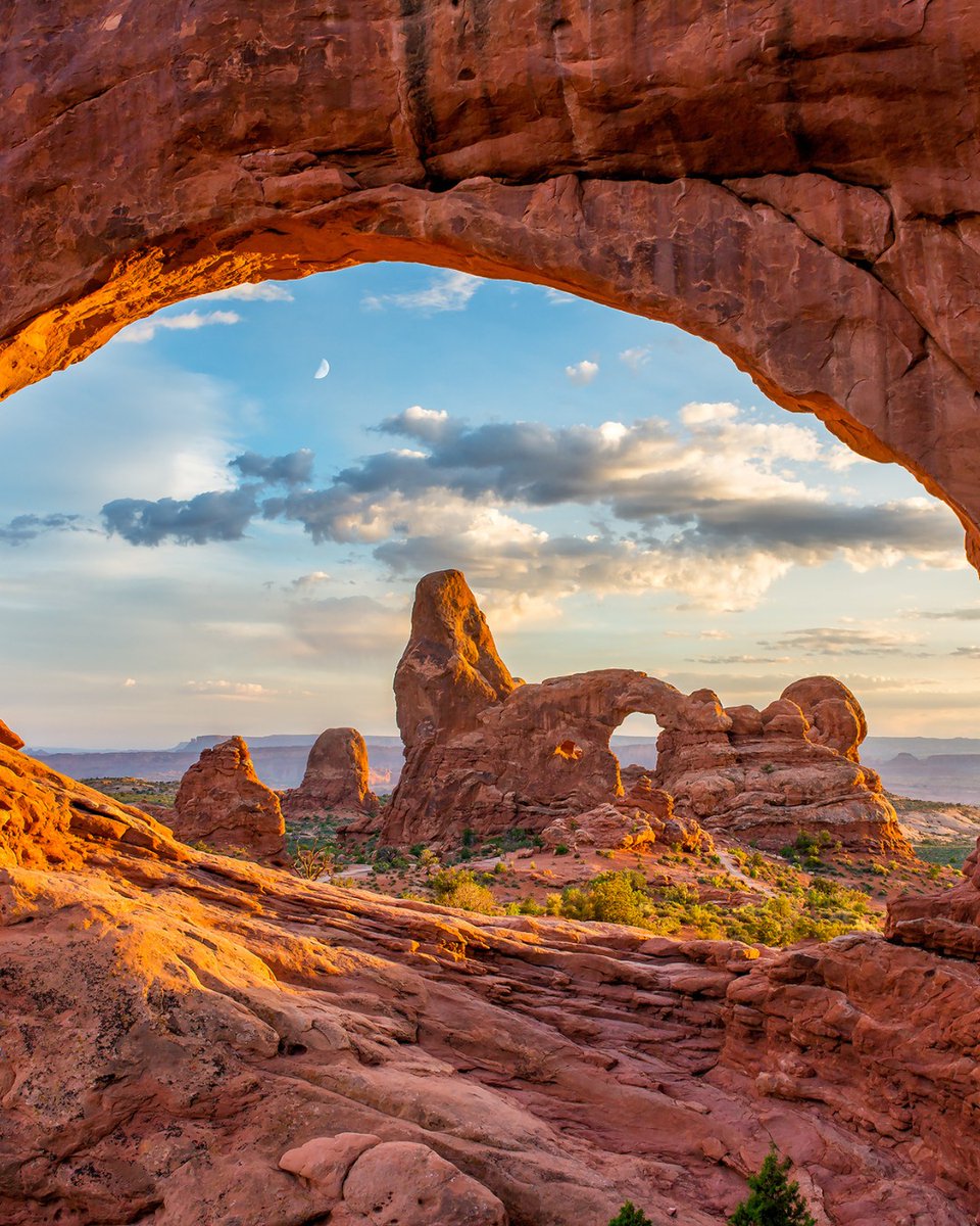 Did you know it's #nationalparkweek in the US? 🇺🇸 
With so many stunning national parks, it's no wonder they have their own week-long celebration 🥳

Discover our national park tours here: ow.ly/nerQ50Rlgsh

#sagatravel #sagaholidays #nationalparksusa