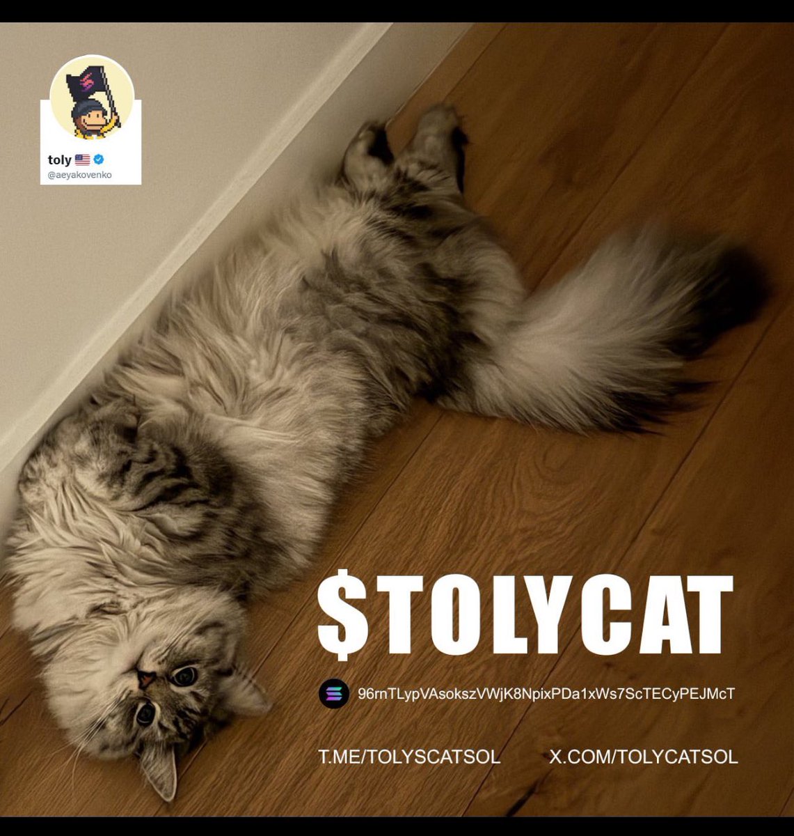 @stekisteks #TOLYCAT sol cofounder catss going for a billyyyy strong community 90 members in vc 96rnTLypVAsokszVWjK8NpixPDa1xWs7ScTECyPEJMcT