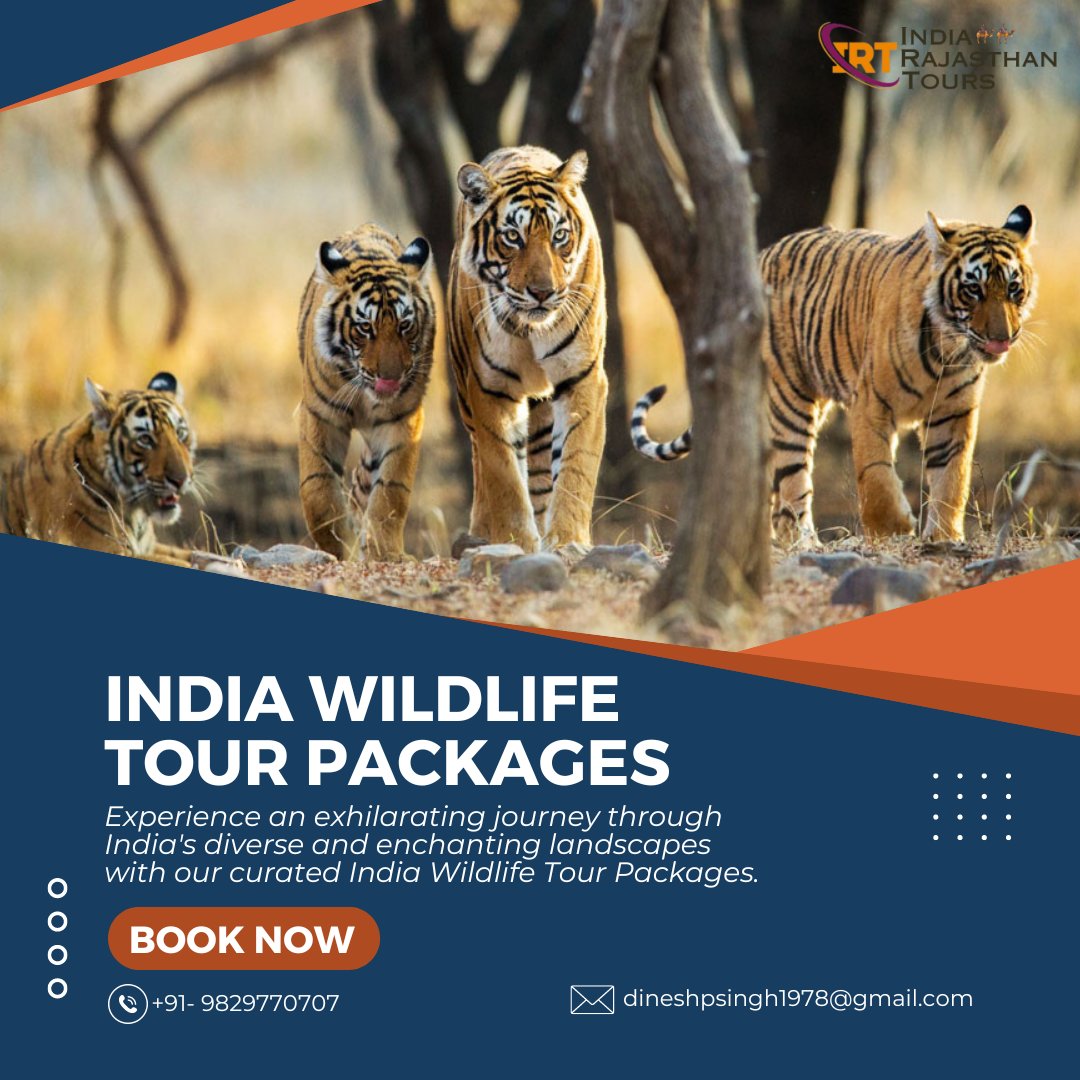 Book Wildlife Tour Packages in India at Great Deals!

Get a FREE Quote 👉 tinyurl.com/2p85tev9

#wildlife #wildlifetour #wildlifetourpackages #safari #wildlifesafari #wildlifesafaritour #travel #tours #travelagency #holiday #indiantourism #tourism #indiatravel