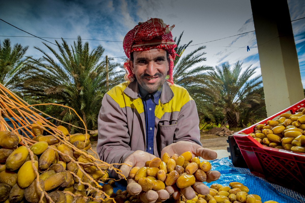 'How can we create #jobs in Morocco🇲🇦?' Water scarcity, energy consumption, waste management - these are just some challenges addressed by the Pre-Accelerator companies of the Green Growth and Jobs Accelerator in #Morocco by @UNDP & @DAPPdk🇩🇰 Learn more: impactventurehub.org/green-growth-a…