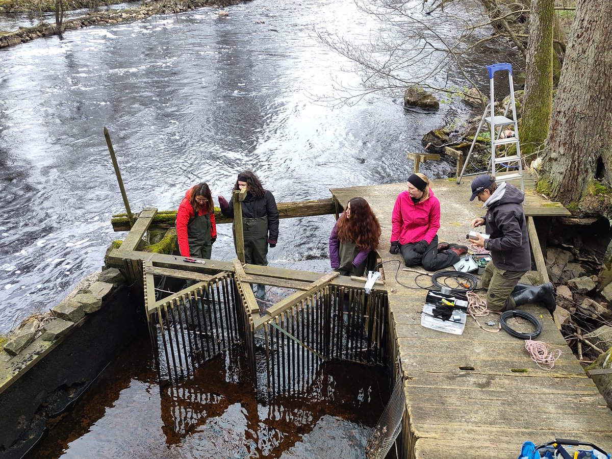 Olle Calles tweet media