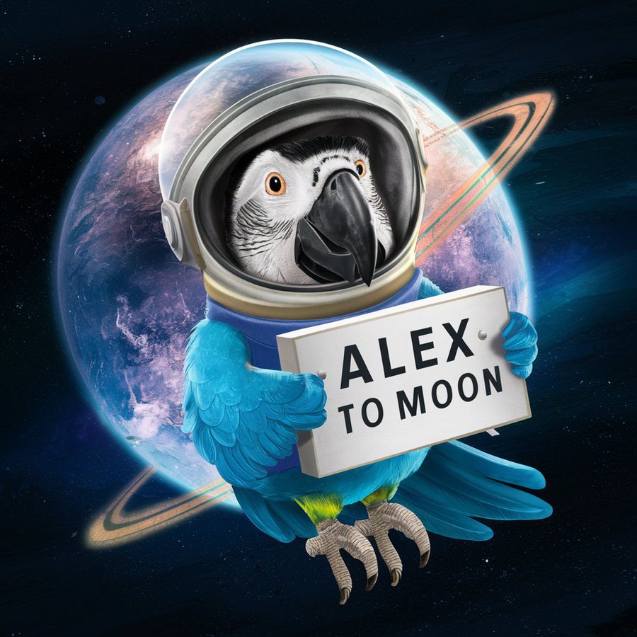 sanchez_a13's tweet photo. @itsFoxCrypto $PARROT (@AlexOnSolana). https://t.co/AdyRwvAAU3