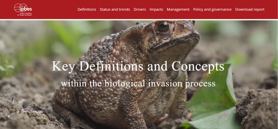 📢 BREAKING NEWS 📢 Now live: Our new interactive tool to explore the @IPBES #InvasiveAlienSpecies Report. A fresh new way to engage with the data and dive deeper into the findings here.⬇️ ipbes.net/ias/learning