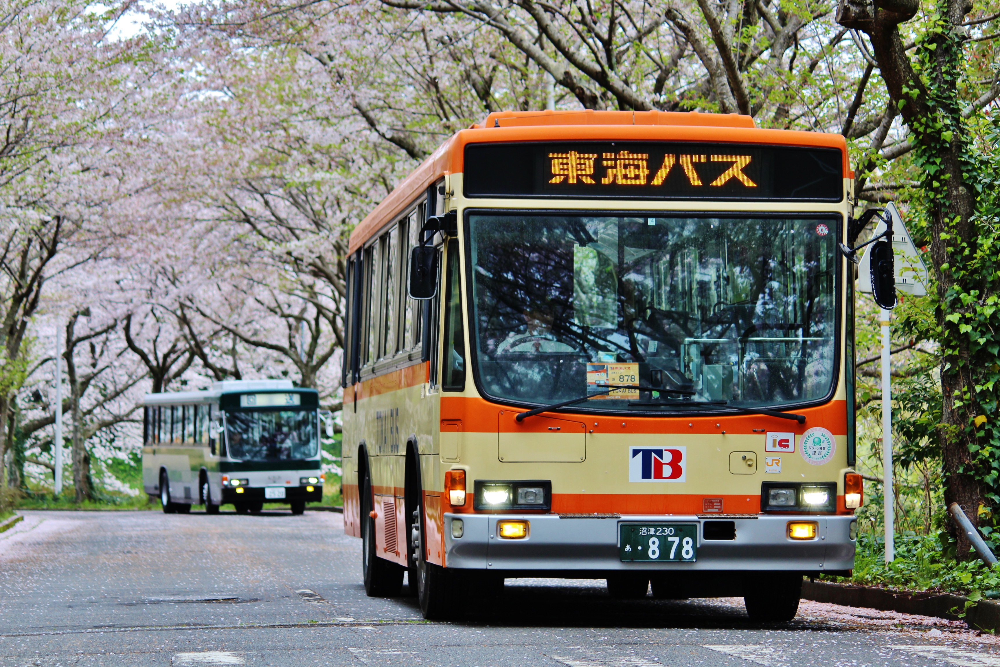 降車扱い後のバスはどこへ行く？ 都バス「豊海水産埠頭」には