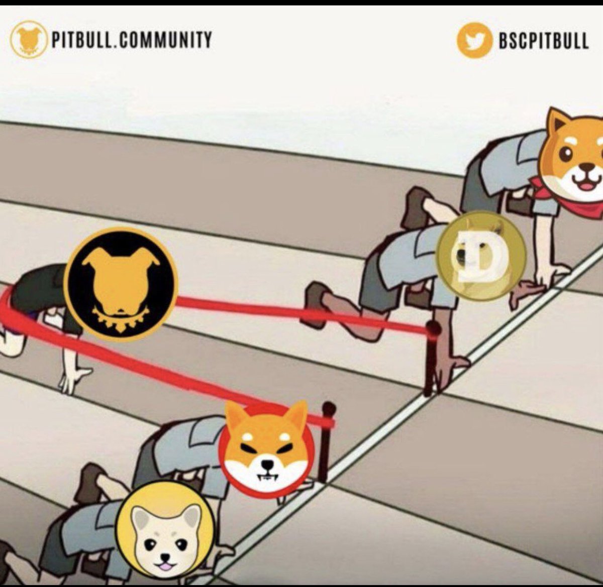 Grdalahin4's tweet photo. @BscPitbull Pitbull token 🥇🥇🥇🥇🥇 https://t.co/pUdQIzAa9h