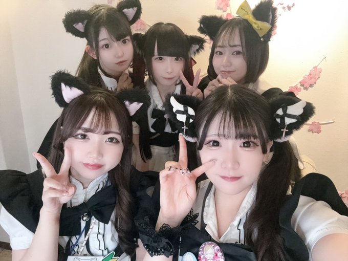 黒猫メイド魔法カフェ大阪店のツイート