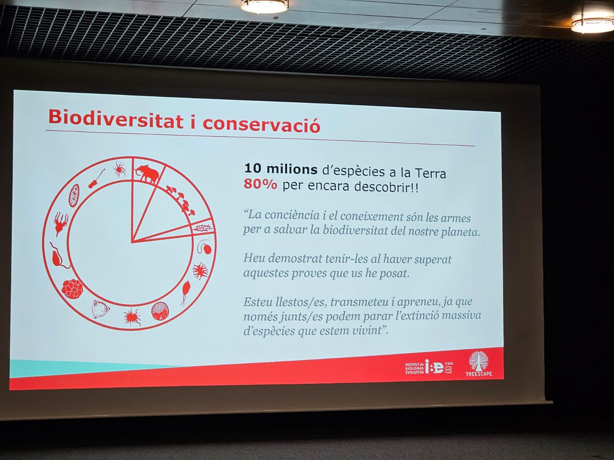 🦠🪱🐠🦎🦕 Com es va passar d'unicel•lulars a multicel•lulars? Ai, l'evolució, quants interrogants encara amaga! Ja no tants per a l'alumnat de @ImmaculadaGava que ahir va descobrir els secrets de l'arbre de la vida en resoldre 🕵️‍♀️ el #TreeScape de l'@IBE_Barcelona! #Escolab