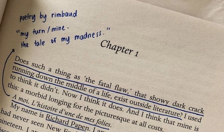 AcademiaDreams's tweet image. 