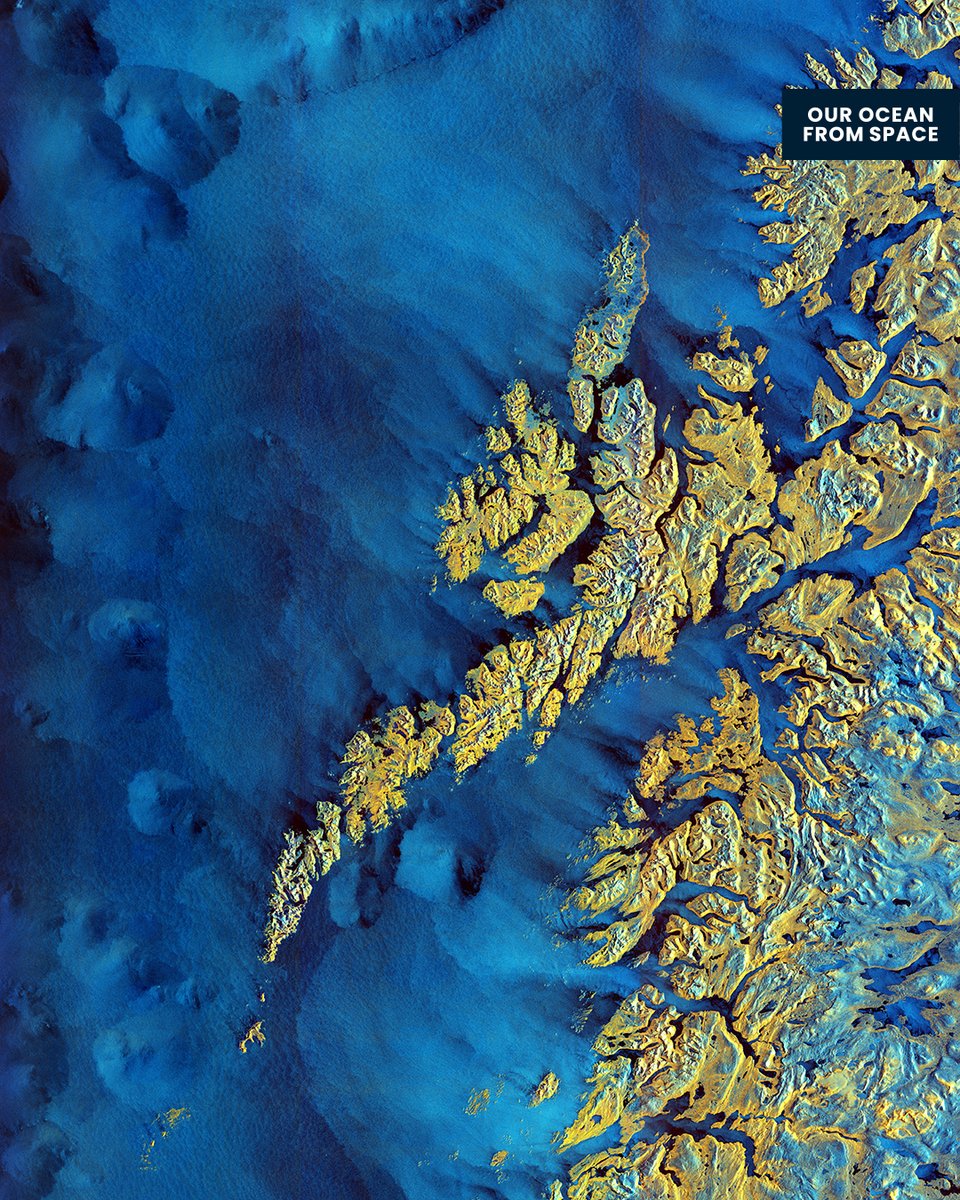 #DYK that #CopernicusMarine & @MercatorOcean are proud partners of the #OurOceanFromSpace exhibition❓

#EarthObservation is key to monitoring different aspects of the ocean, including ocean warming, sea ice, & ecosystems 🌊

🔽#Copernicus 🇪🇺🛰️ imagery used in the exhibition