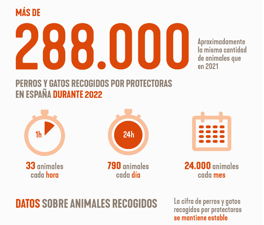 ArreglaTechPro tweet media