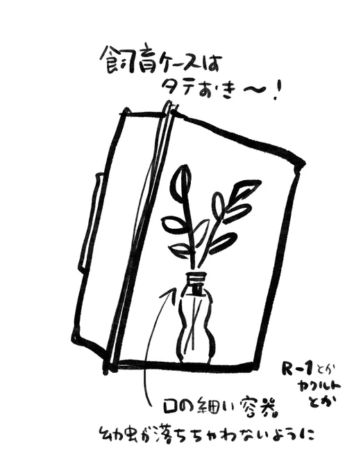 うちの飼育ケースこんな感じです🐛 