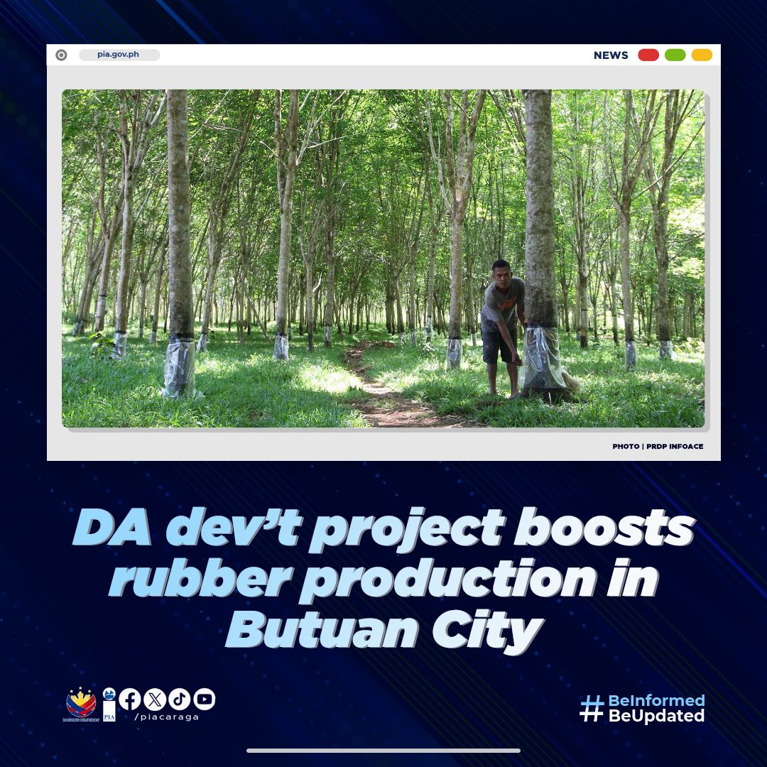 NEWS | DA dev’t project boosts rubber production in Butuan City

Full story here: rb.gy/207ugu

#PIACaraga
#BeInformed
#BeUpdated
#BagongPilipinas