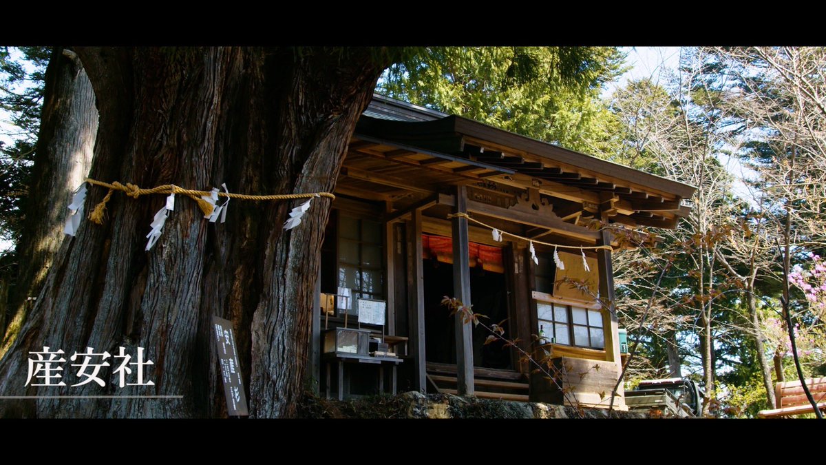 m_mitake929's tweet photo. 先日行われました、産安社祭の様子です。
映像はYouTubeにて公開中です。
是非当日の様子をお楽しみ下さいませ。

https://t.co/fyg56lZNmA https://t.co/upXyNA0clC
