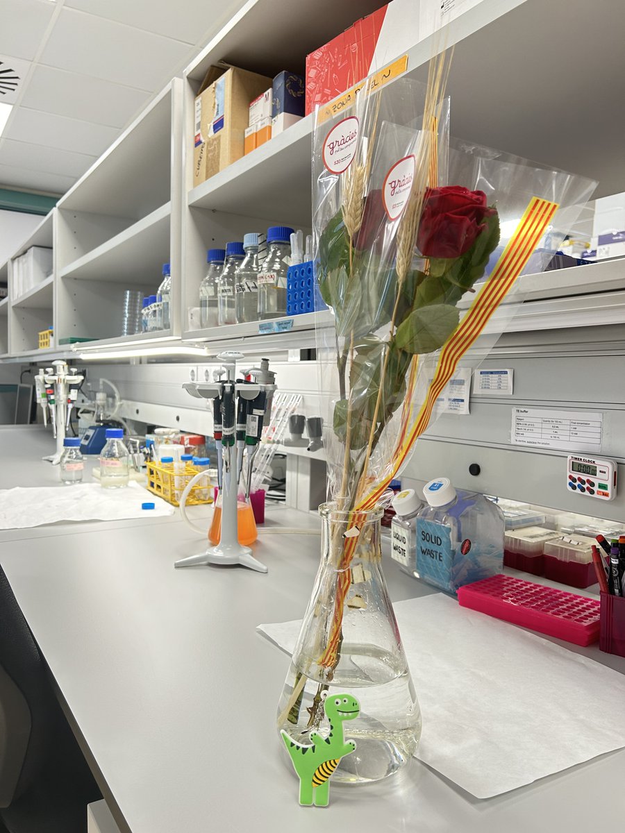 ¡Desde el laboratorio de Neurogenética y Medicina Molecular os deseamos un feliz Sant Jordi! 🌹🐉📙