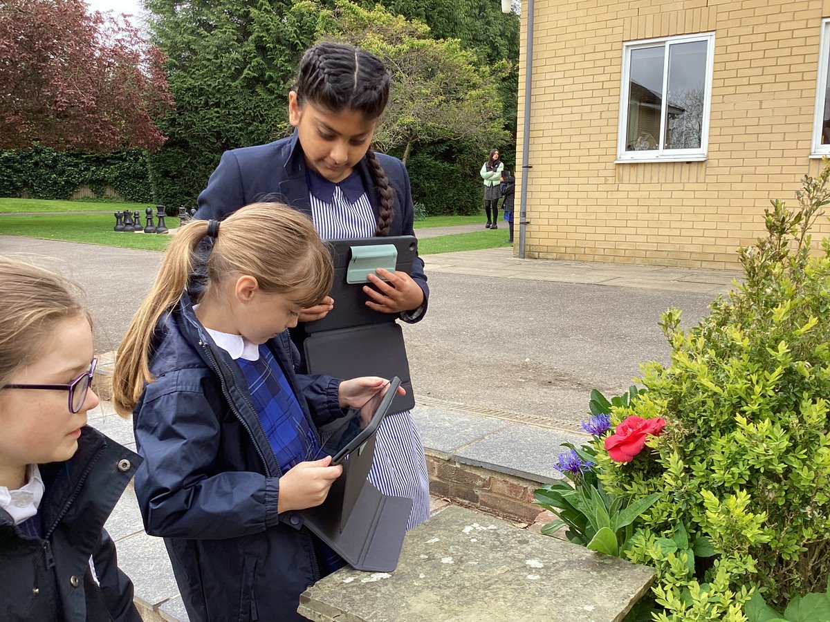 Computing with Y4. 🖥 This half term year 4 are looking at photo editing in their computing lessons. #SMSspirit #embrace #empower #computing #girlscomputing #computingatschool #computinginschools #year4 #independentschool #privateschool #privategirlsschool #gerrardscrossschool