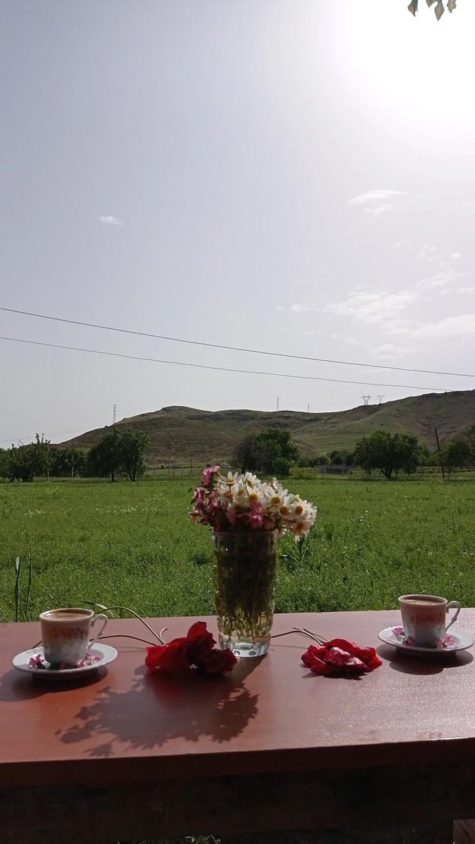 NargulKacar's tweet photo. @digerkm https://t.co/ZQ7AOHEFO9