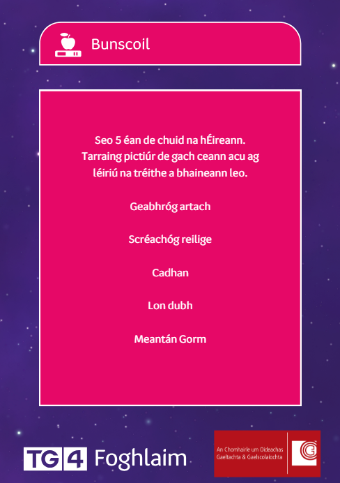 A Mhúinteoirí & A Thuismitheoirí!!🗣️

Gníomhaíochtaí Nuachta Cúla4 ar ár suíomh ANOIS👇 👇
foghlaim.tg4.ie/bunscoil

Ceisteanna, tascanna, ábhair phlé srl AGUS tá na freagraí ar fáil daoibh chomh maith🤩