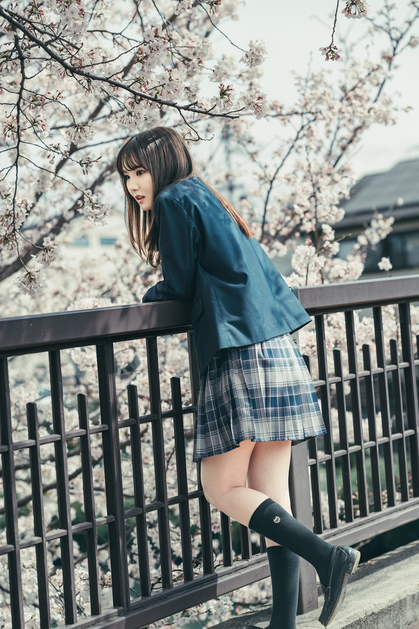 Q太郎#9 on X: 