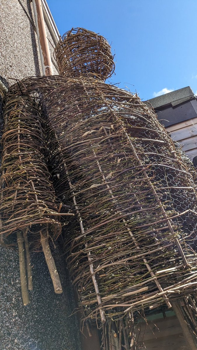 MorbitoriumUK's tweet photo. Dave has worked so hard on building this beauty.  It will now be a permanent fixture at the Morbitorium... #wickerman https://t.co/Dt8n6adlQr