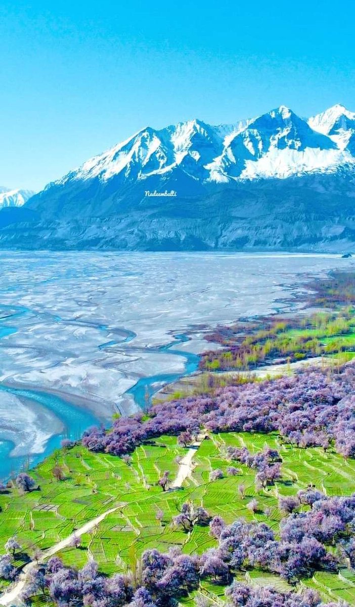 shakoorali51214's tweet photo. ﷽𝐀𝐬𝐬𝐚𝐥𝐚𝐦𝐮𝐥𝐚𝐢𝐤𝐮𝐦﷽
Beautiful Afternoon 🌞
Beautiful Home Town
Machlu baltistan ♥️
#Machulu 🌼🫶🌼 https://t.co/UYOopCuYNu