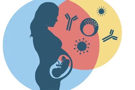 We're hosting a free public event this Thurs 25 April to celebrate this year's #DayofImmunology with @TheCrick & @NatRevImmunol 🌠 Panel speakers will discuss '#Immunity in #pregnancy and in early life ─ lifelong impact on #health' 🤰 Register here 👉bit.ly/3vJy5gA