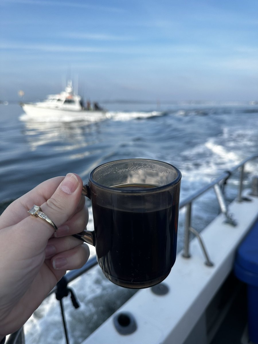 Heading offshore with some of the #AnglingforSustainability crew for our first day black bream tagging this year in Poole. It’s a cracking day! Fingers crossed for a good days fishing 🎣 @AnglingTrust @AHall_Marine @Pete_Davies1 @aMER_MarineRes @PlymUni #FISP