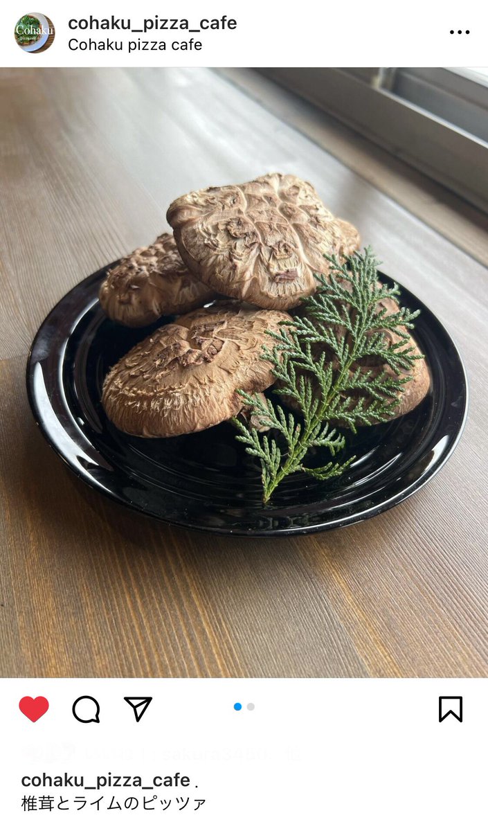 hiro_riddle's tweet photo. 上田市 Cohaku pizza cafeさんにてウチの椎茸を使用していただいております🍄
原木椎茸は生える時期が限られているので食べてみたい方はお早めに😋
#Cohakupizzacafe
#椎茸とライムのピッツァ
#信州上田原木椎茸栽培部
#Ctake https://t.co/90BdBHg4VF