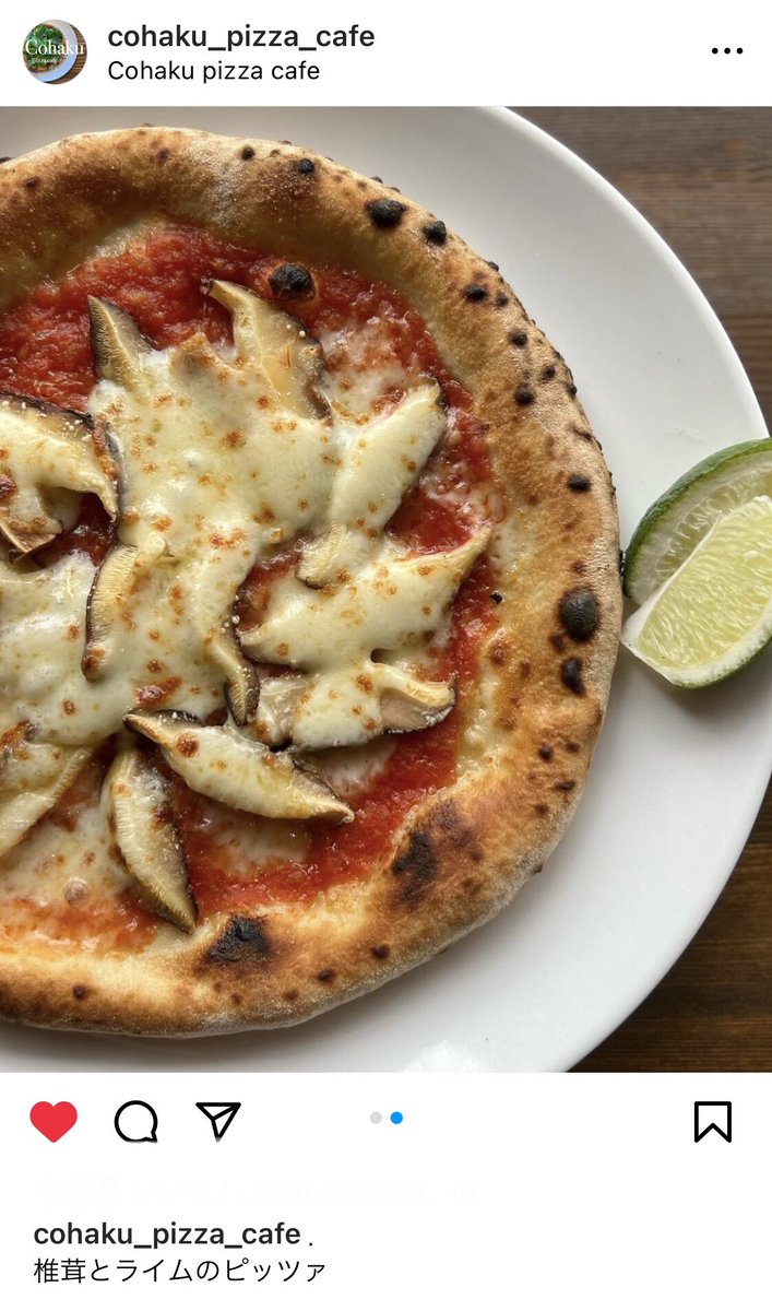 hiro_riddle's tweet photo. 上田市 Cohaku pizza cafeさんにてウチの椎茸を使用していただいております🍄
原木椎茸は生える時期が限られているので食べてみたい方はお早めに😋
#Cohakupizzacafe
#椎茸とライムのピッツァ
#信州上田原木椎茸栽培部
#Ctake https://t.co/90BdBHg4VF