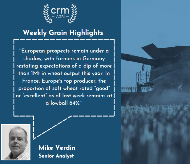 Our latest subscriber #grain report covers crop conditions, physical prices, analysis and #weather. graintab.com/analysis