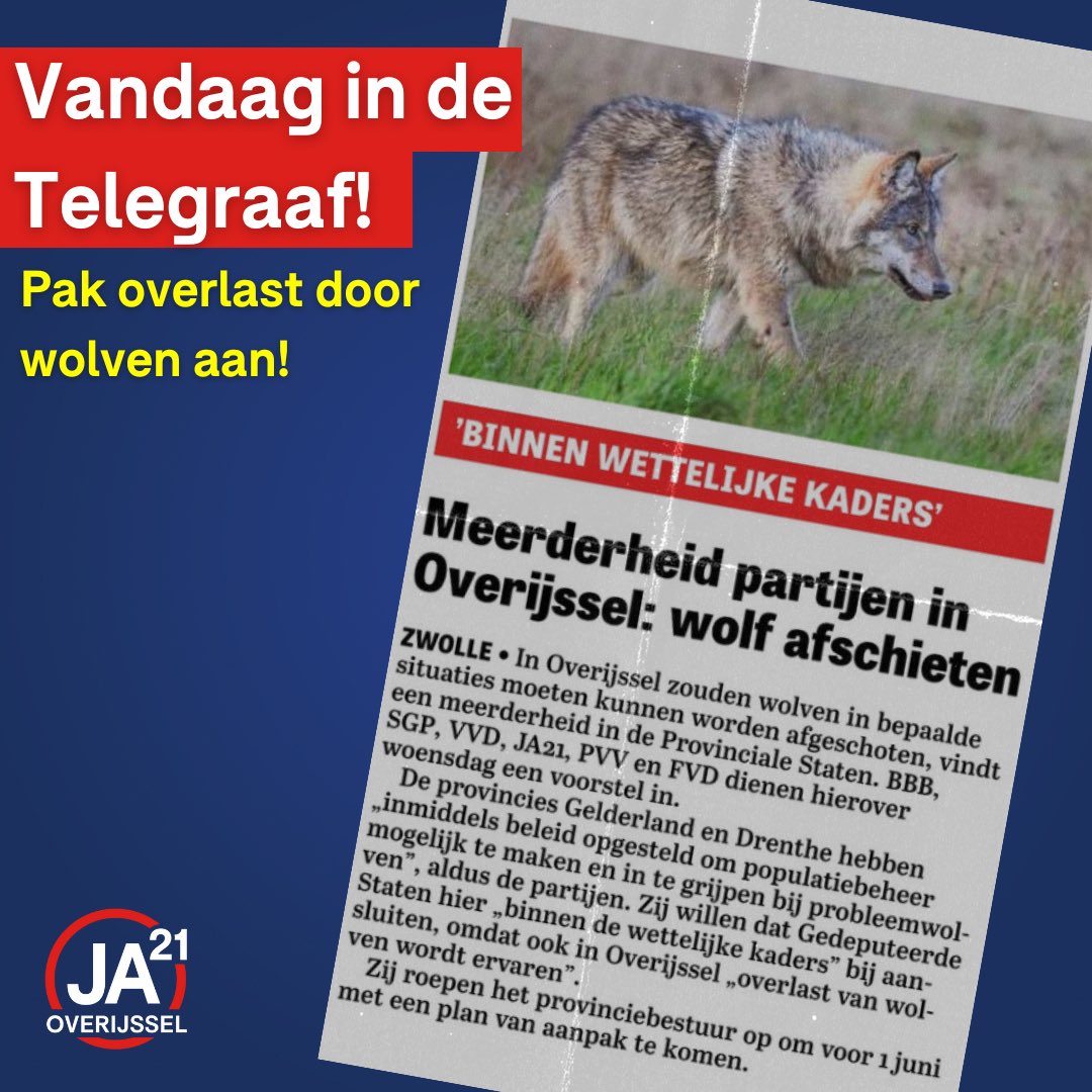 JA21_Overijssel's tweet image. Samen met @BBBOverijssel, @vvdoverijssel, @CDAOverijssel, @OverijsselSGP, @PVV_Overijssel en @Overijssel_fvd dienen we morgen een motie in om, in navolging van Gelderland en Drenthe nu écht iets te doen aan de overlast van de wolf! 🐺 #JA21 #psov 

Bron: de Telegraaf, 23-04-2024